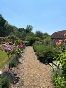 a gravel path in a garden with flowers at Seafret Barn sleeps two, North Norfolk in Roughton