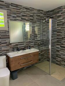 a bathroom with a sink and a shower with a mirror at Charmante maison avec jacuzzi in Le Gosier