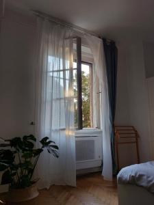 Quiet apartment near Buda Castle 1012 Budapest, 48 Logodi utca fszt kép - 2