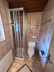 La salle de bains est pourvue d'une douche et de toilettes. dans l'établissement Haus Claudia, à Schwendau
