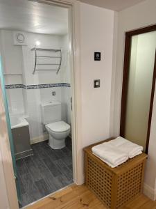 a small bathroom with a toilet and a sink at City Centre 3 bedrooms apartment with parking in Nottingham