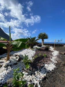 un jardín con palmeras y rocas en Casita La Enramada, en Sabinosa