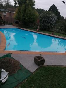 a large blue swimming pool in a yard at Clivia Guesthouse in Pietermaritzburg