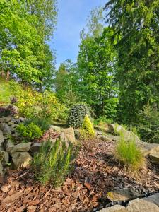 a garden with rocks and trees in the background at Domek Górski Promyk z kominkiem in Wisła +10 photos