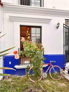 Una bicicleta azul estacionada frente a una casa en Súper Departamento en centro histórico en Comitán de Domínguez