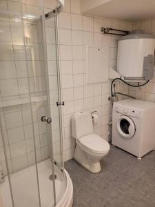 a bathroom with a toilet and a washing machine at Cosy flat with 180cm wide very comfortable bed in Sandefjord