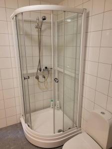 a shower in a bathroom with a toilet at Cosy flat with 180cm wide very comfortable bed in Sandefjord