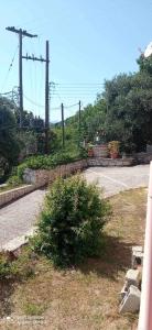 a bush sitting on the side of a road at Elena’s rooms in Virós