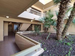 Fotografie z fotogalerie ubytování Appartement 2 pièces avec terrasse à 100m de la plage - Parking privé, Antibes - FR-1-252-155 v destinaci Juan-les-Pins