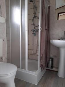 een badkamer met een douche, een toilet en een wastafel bij Boszicht-Winterswijk in Winterswijk