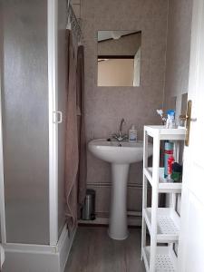 een badkamer met een wastafel en een spiegel bij Boszicht-Winterswijk in Winterswijk