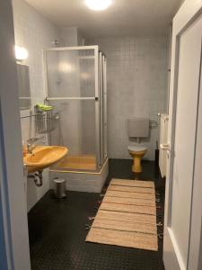 un bagno con doccia, lavandino e WC di Uhlenmühle a Aub