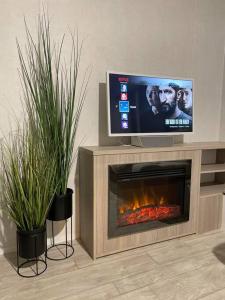 TV a/nebo společenská místnost v ubytování Garden guest house