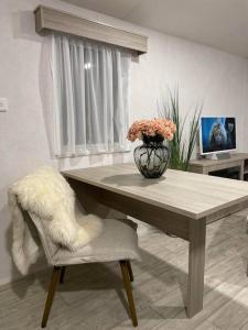 TV a/nebo společenská místnost v ubytování Garden guest house