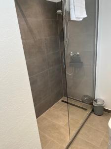 baño con cabina de ducha con puerta de cristal en Kleiner Kristall inklusive MeineCard Plus en Willingen