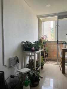 Fotografie z fotogalerie ubytování Habitación en apartamento Robledo-Medellin v destinaci Medellín