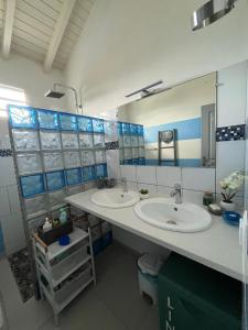La salle de bains est pourvue de 2 lavabos et d'un grand miroir. dans l'établissement Biscuit - Gîte du moulin, à Petit-Canal