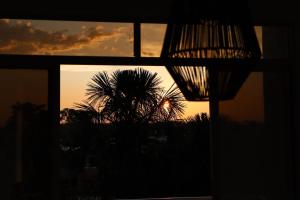 um pôr-do-sol visto através de uma janela com uma palmeira em BHB - ApartaHotel em Letícia