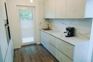 a kitchen with a counter with a mixer on it at Owls Hill Apartment in Kaunas