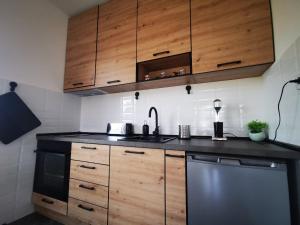Küche/Küchenzeile in der Unterkunft Apartman 982 Divčibare