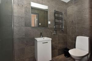 a bathroom with a toilet and a sink and a mirror at Timmerby Lodge - Lindvallen Sälen - Ski in Ski out in Sälen