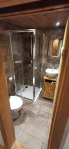 een badkamer met een douche, een toilet en een wastafel bij Chalet 'Les Riaux' - Studio individuel in Chateau-d'Oex