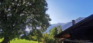 代堡的住宿－Chalet 'Les Riaux' - Studio individuel，小屋的背景是树和山脉