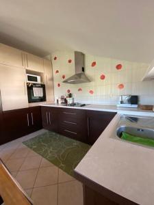 una cocina con encimera y fregadero. en Apartman GOGO en Livno