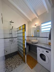 a bathroom with a washing machine and a sink at Bambou - Gîte du moulin in Petit-Canal