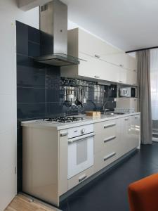 奥西耶克Apartman Stadion的客房内的厨房配有炉灶烤箱