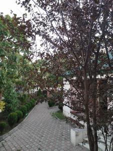 Zahrada ubytování Villa Platinum
