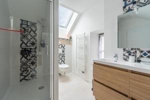 W łazience znajduje się prysznic, umywalka i toaleta. w obiekcie Duplex et Studio Saint Martin Le Beau w mieście Saint-Martin-le-Beau