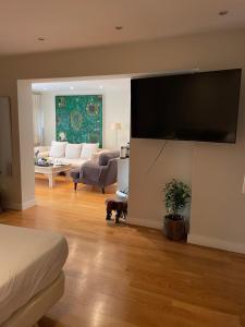 TV a/nebo společenská místnost v ubytování Espléndido dormitorio en Suite