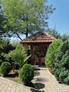 Zahrada ubytování Villa Platinum