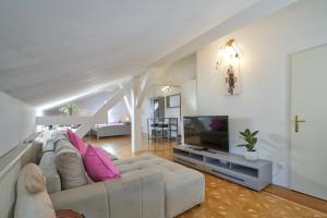 ein Wohnzimmer mit einem Sofa und einem TV in der Unterkunft Big Apartment in Guesthouse in Baden