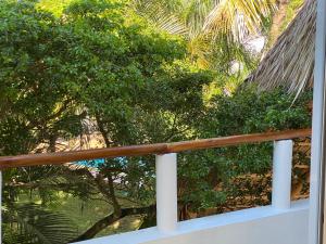 Zahrada ubytování Villa SOL