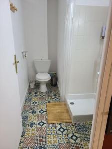 bagno con servizi igienici, doccia e pavimento piastrellato. di Joli studio rénové situé au pied des thermes ad Amélie-les-Bains-Palalda