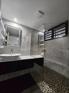 bagno con lavandino e doccia di ECOLODGY Suites Villa a Ducos