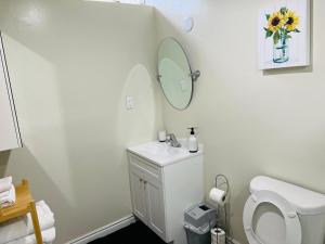 a bathroom with a white toilet and a mirror at Cozy 1 BR basement apartment with Free Street Parking & Separate Entrance in Milton