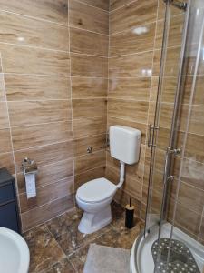 La salle de bains est pourvue d'une douche et de toilettes. dans l'établissement Sobe i apartmani Tena, à Velika Gorica