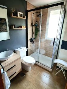 a bathroom with a shower and a toilet and a sink at Piso acogedor con terraza in Ciudad Real
