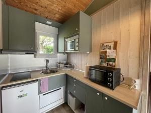 uma pequena cozinha com armários verdes e um micro-ondas em Gîte Pierrefitte-sur-Loire, 3 pièces, 4 personnes - FR-1-489-360 em Pierrefitte-sur-Loire
