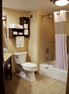 ein Badezimmer mit einem WC, einer Badewanne und einer Dusche in der Unterkunft Hampton Inn Gettysburg in Gettysburg