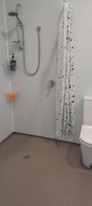 La salle de bains est pourvue d'une douche et de toilettes. dans l'établissement Pennys Accommodation, à Palmerston North