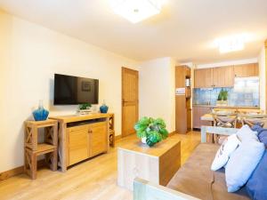 a living room with a couch and a flat screen tv at Appartement centre-ville avec WiFi et sauna inclus - FR-1-296-404 in Saint-Lary-Soulan