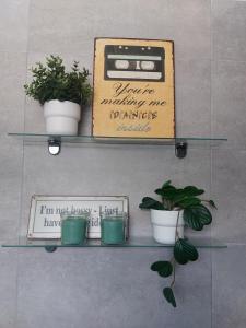 a shelf with potted plants and a toaster on it at Cosy, Stylish, Central in Lisbon