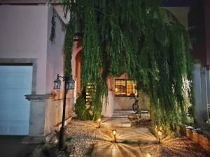Zahrada ubytování casa consulado