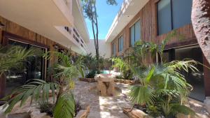 a courtyard with plants in front of a building at Harmonia Tulum in Tulum