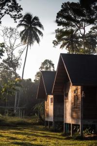 a small wooden house with a palm tree behind it at บ้านวารีชีวา WareeCheewa 