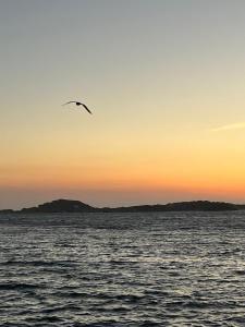 Paesaggio naturale nelle vicinanze della villa